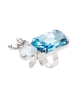 Anillo ASWRMAGP