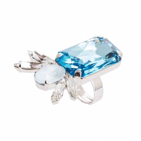 Anillo ASWRMAGP